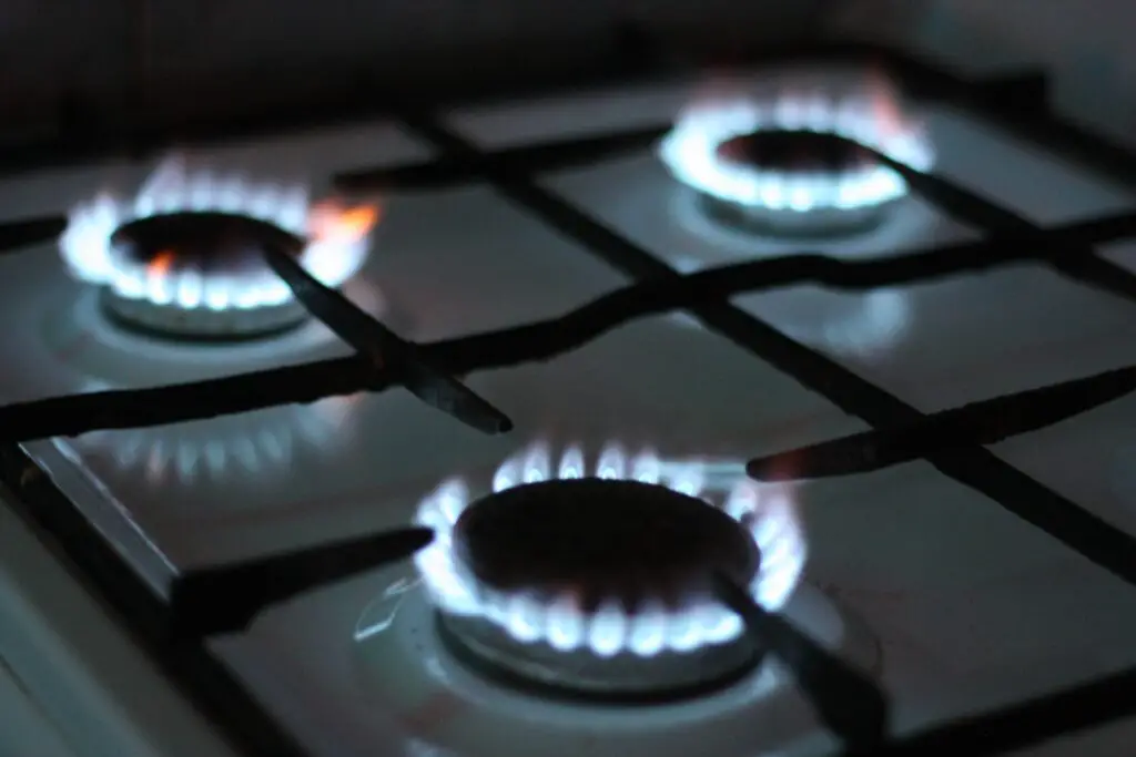 Do Electric Stoves Use Gas