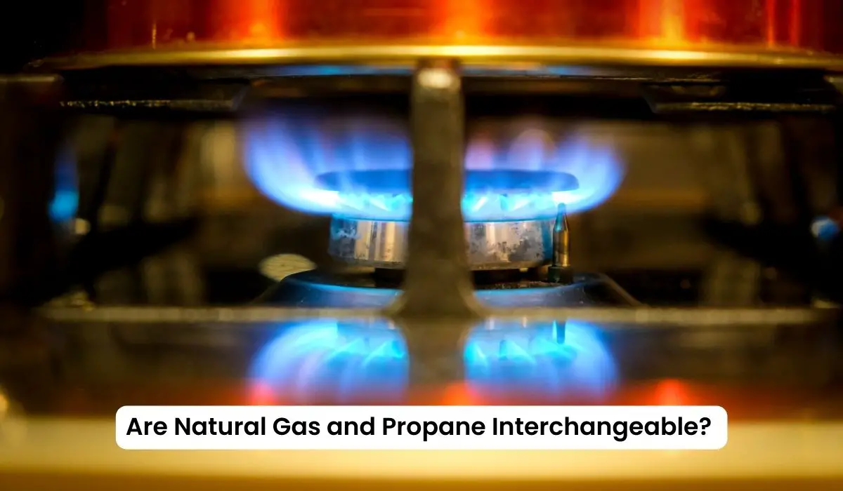 Are Natural Gas and Propane Interchangeable