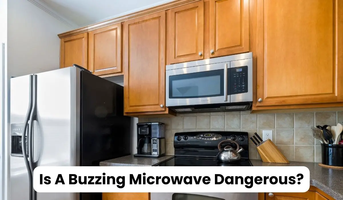 Is A Buzzing Microwave Dangerous